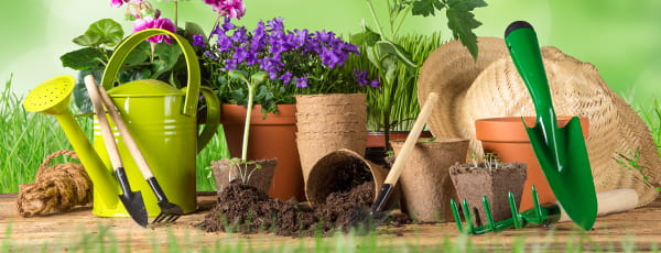 10 Tipps für den angehenden Gärtner