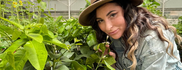 Schaffen Sie sich eine exotische Oase auf Ihrer eigenen Terrasse - ein neuer Trend!