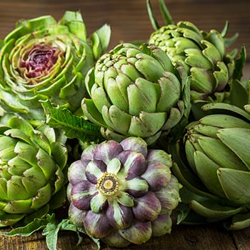 Artischocke