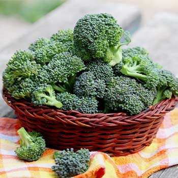 Broccoli-Kohl