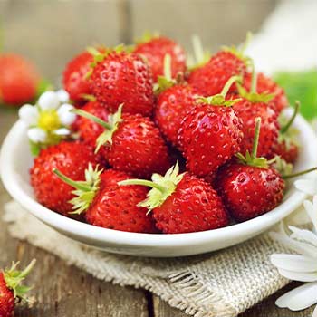 Erdbeere kleinfrüchtig