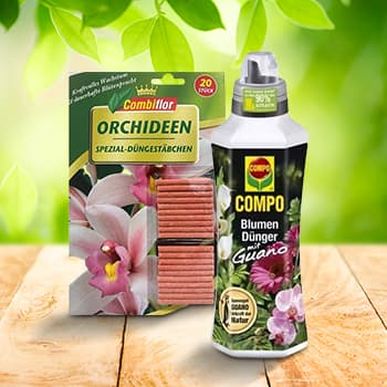 Für Orchideen
