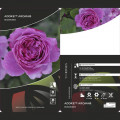 Beetrose Adore Aroma®, С3 interface.art Bild 3 Beetrose Adore Aroma®, С3 interface.image 3 interface.art 2065