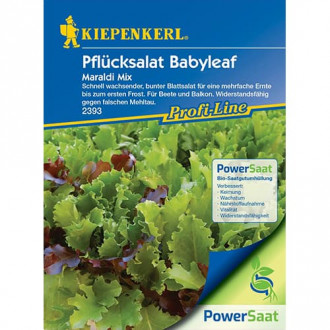 Pflücksalat Babyleaf Maraldi Mischung interface.image 2