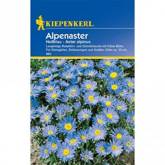 Alpenaster Hellblau interface.image 4
