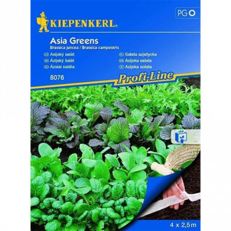 Asia - Salate (Saatband) Kiepenkerl interface.image 6