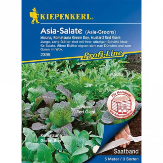 Asia - Salate (Saatband) interface.image 4