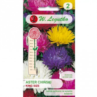 Aster King Size mischung Legutko interface.image 6