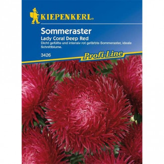 Sommeraster Lady Coral Deep Red interface.image 1