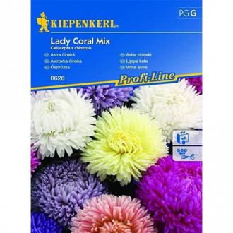 Sommeraster Lady Coral Mischung Kiepenkerl interface.image 5