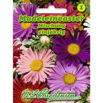 Madeleineaster Mischung interface.image 6