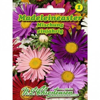 Madeleineaster Mischung interface.image 5