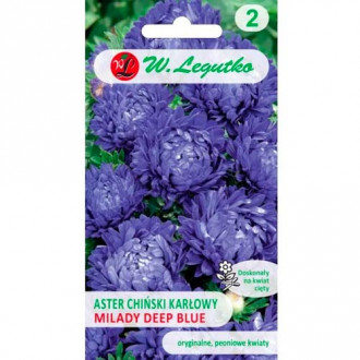 Aster Milady Deep Blue Legutko interface.image 18