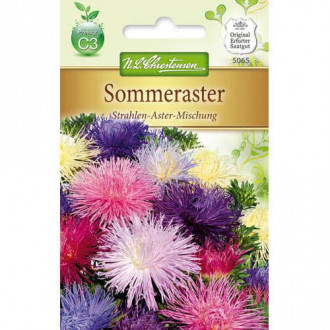 Sommeraster Strahlen - Aster interface.image 2