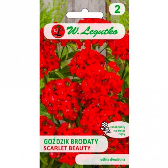Bartnelke Scarlet Beauty Legutko interface.image 3