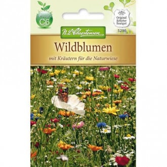 Wildblumen mit Kräutern interface.image 3