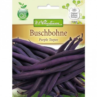 Buschbohne Purple Teepee interface.image 5