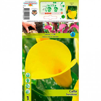 Calla Sunshine interface.image 3