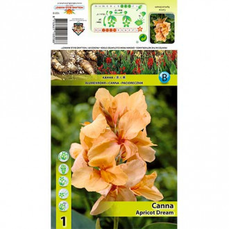 Canna Apricot Dream interface.image 2