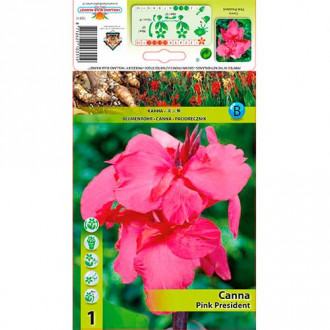 Canna Pink President interface.image 3