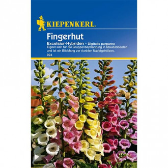 Fingerhut Excelsior - Hybriden interface.image 1