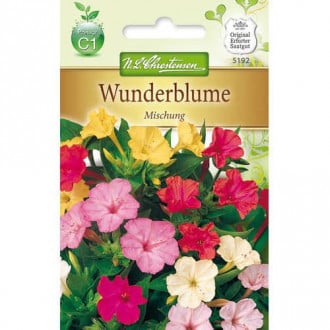 Wunderblume Mischung interface.image 6