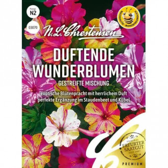 Wunderblume Duftende Mischung interface.image 1