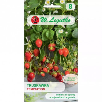 Erdbeere Temptation interface.image 5