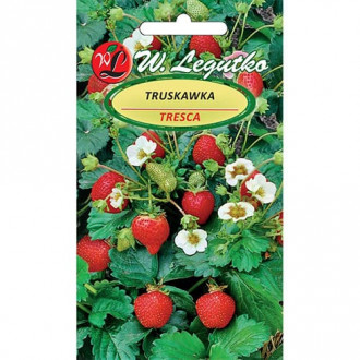 Erdbeere Tresca interface.image 11