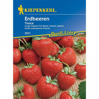 Erdbeeren Tresca interface.image 1