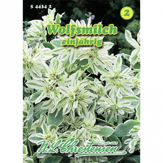 Euphorbia Wolfsmilch interface.image 5
