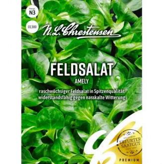 Feldsalat Amely Chrestensen  interface.image 5