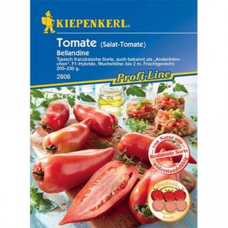 Fleischtomate Bellandine F1 Kiepenkerl interface.image 4