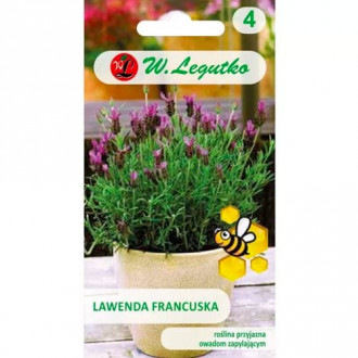 Französischer Lavendel Legutko interface.image 5