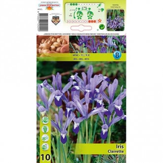 Geäderte Iris Clairette interface.image 4