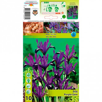 Geäderte Iris Purple Gem interface.image 2
