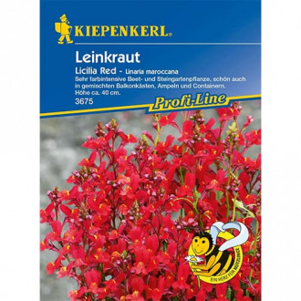 Leinkraut Licilia Red interface.image 2