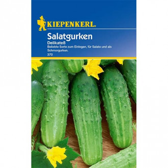Salatgurke Delikatess interface.image 6