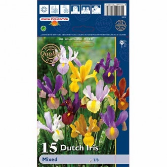 Holländische Iris, farbmischung interface.image 4