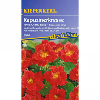 Kapuzinerkresse Jewel Cherry Rose interface.image 6