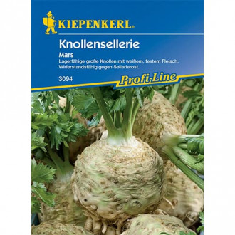 Knollensellerie Mars interface.image 5