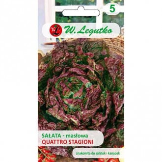 Kopfsalat Quattro stagioni interface.image 6