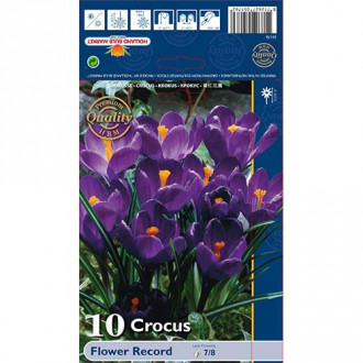 Krokus Flower Record interface.image 3