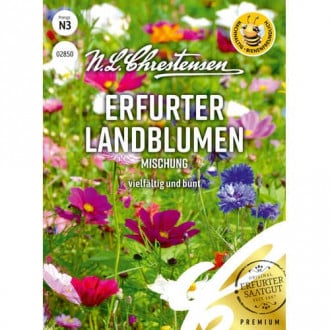 Erfurter Landblumen Mischung interface.image 2