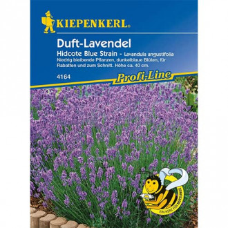 Duft - Lavendel Hidcote Blue Strain interface.image 1