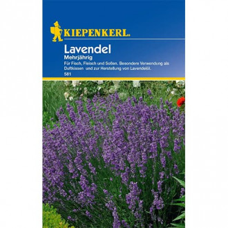 Lavendel mehrjährig interface.image 2