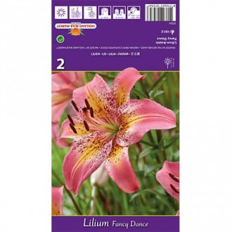 Lilie Fancy Dance interface.image 3