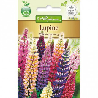 Lupine Prachtmischung interface.image 4
