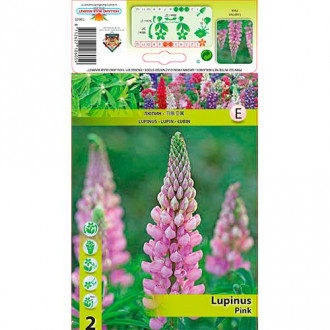 Lupine Pink interface.image 1