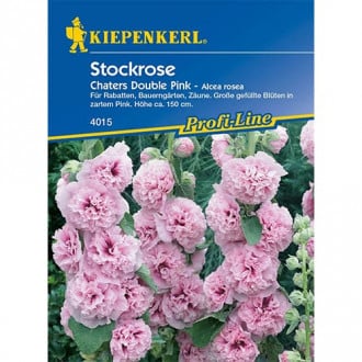 Stockrose Chaters Pink interface.image 1